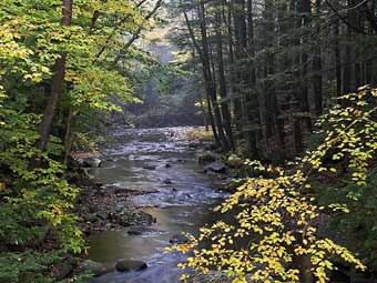 Штат Вермонт признан самым зеленым в США