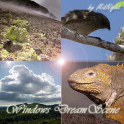 Анимированные обои Dream (DreamScene) для Windows Vista Ultimate.